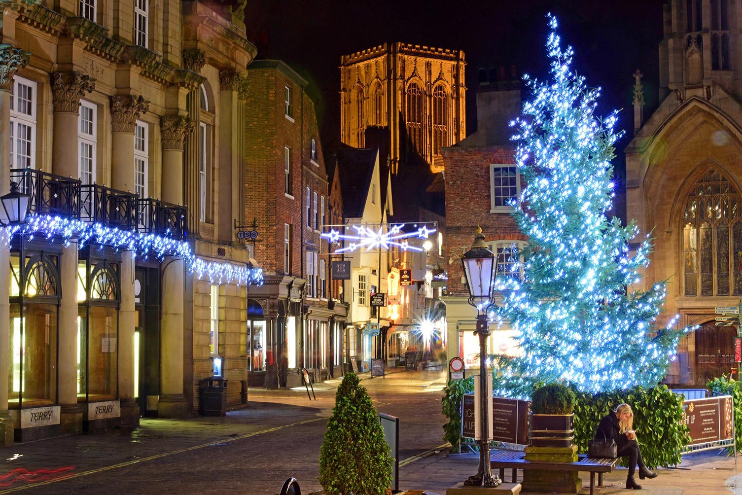 York-christmas-tree