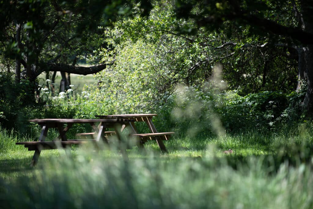 Picnic area