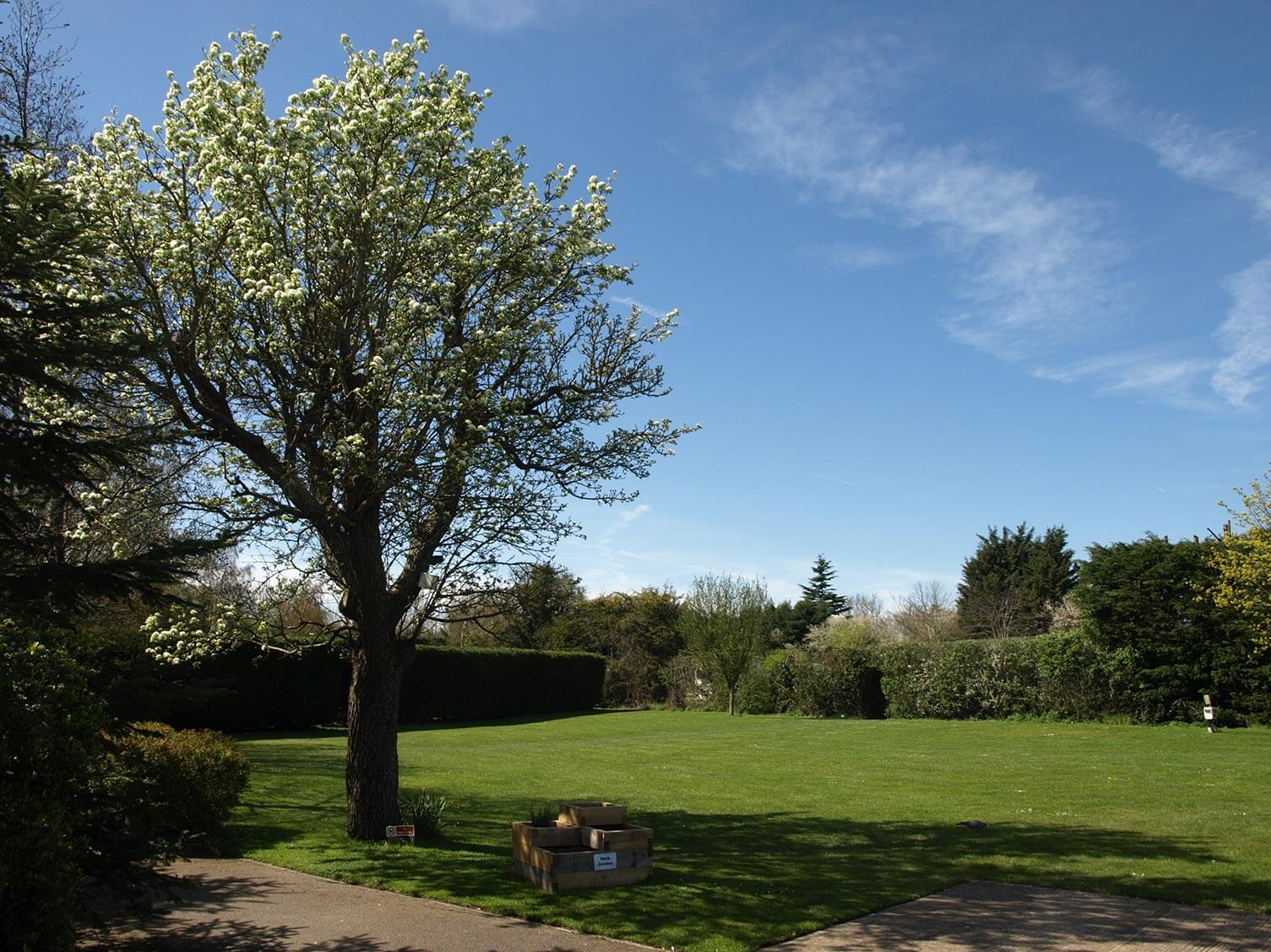 Briarfields-Tranquil-Parks-Adults-Only-Holidays-Camping-Field-HerbBed