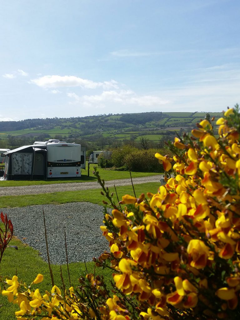 Daisy Bank Touring Caravan Park