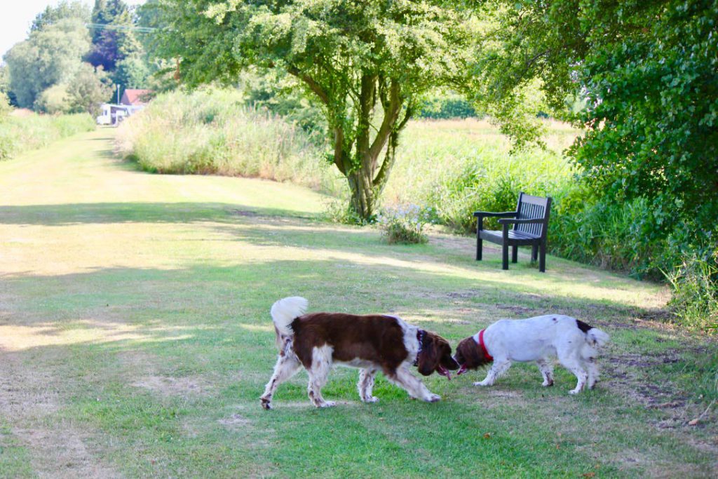 Delph-Bank-Tranquil-Parks-Adults-Only-Holidays-Pet-Friendly-10-1086x724