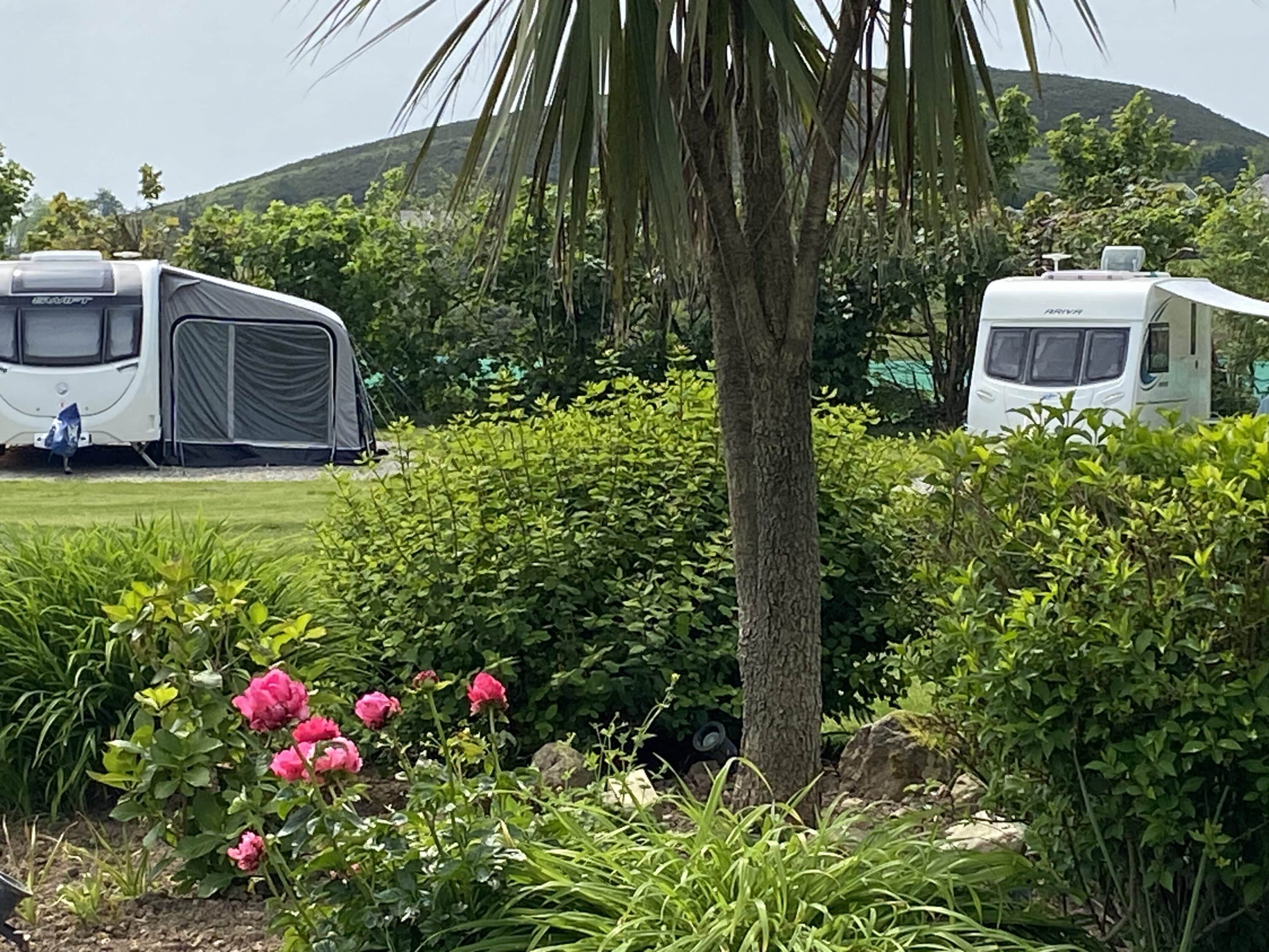 Yr Helyg / The Willows Caravan & Camping Park