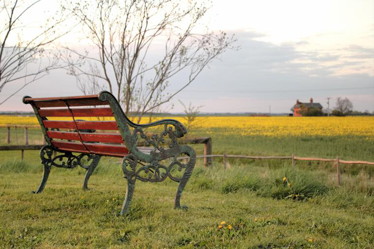 Long Acres Touring Park
