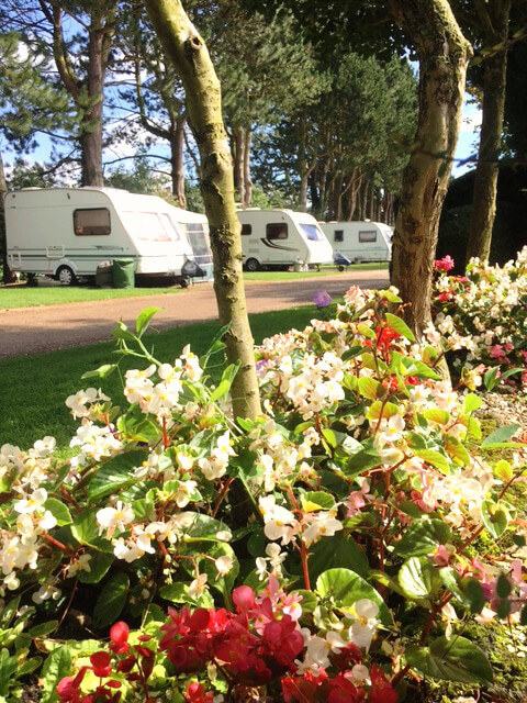 Overbrook Caravan Park | Tranquil Parks