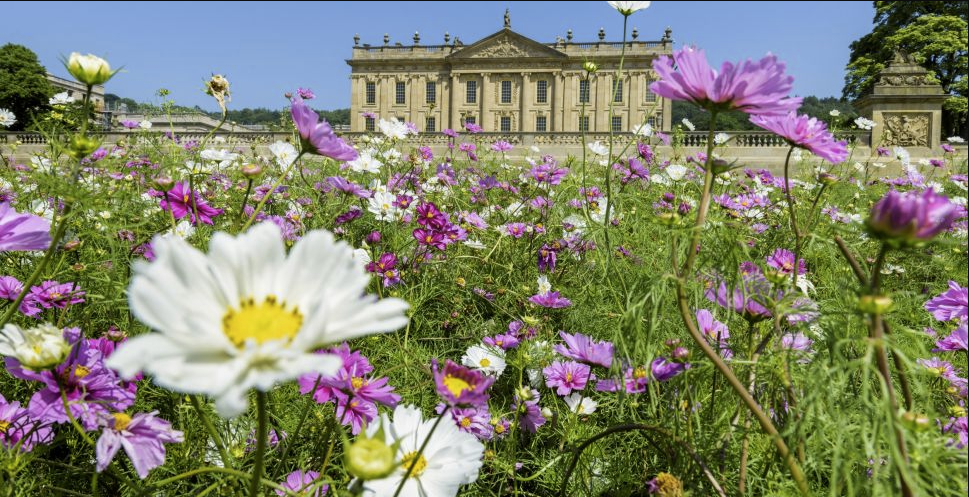 RHS Chatsworth