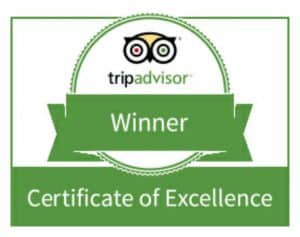 Trip Advisor