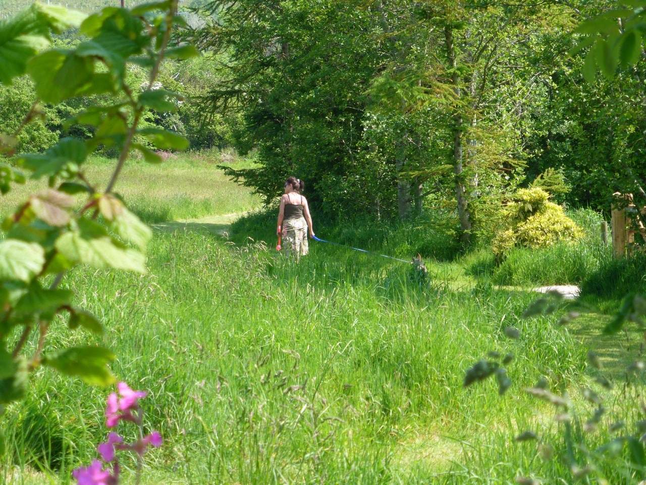 Trethem Mill Touring Park