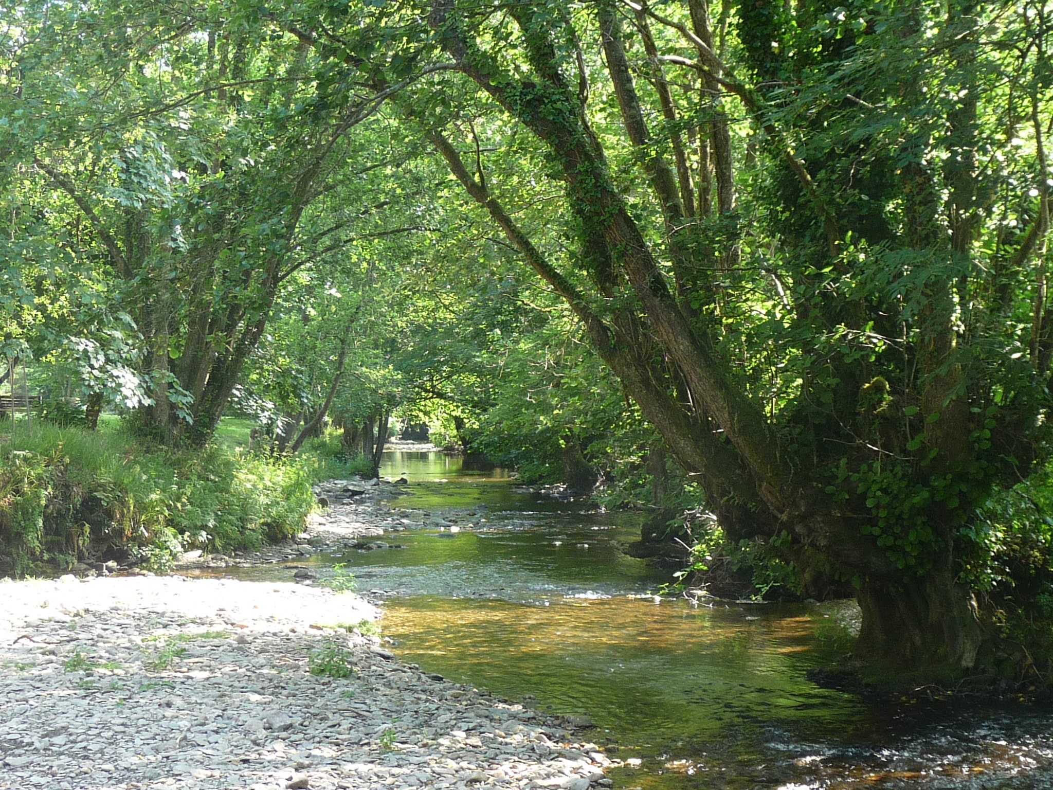 Exe Valley Caravan Site