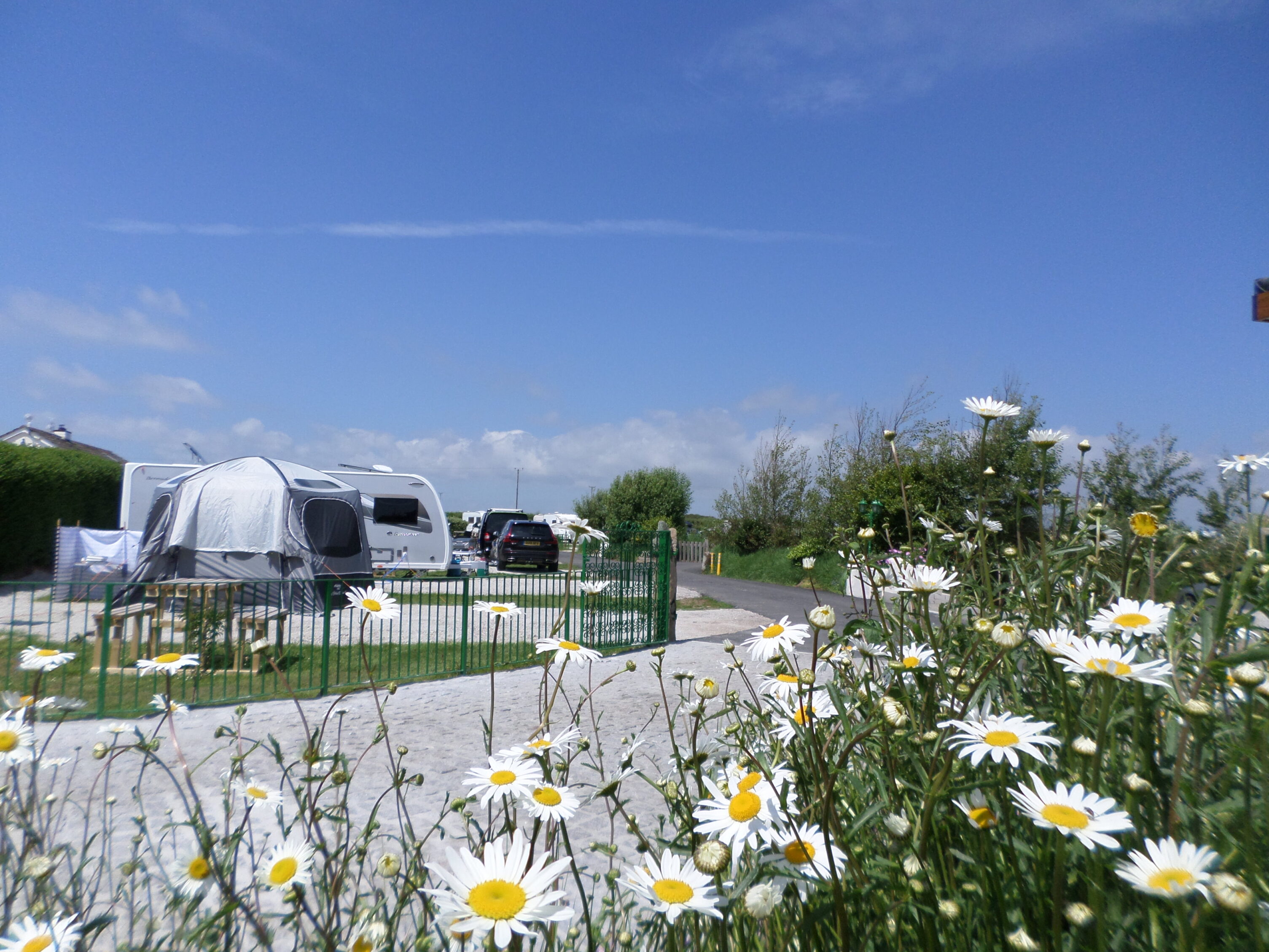Parkland Caravan, Camping & Glamping Site