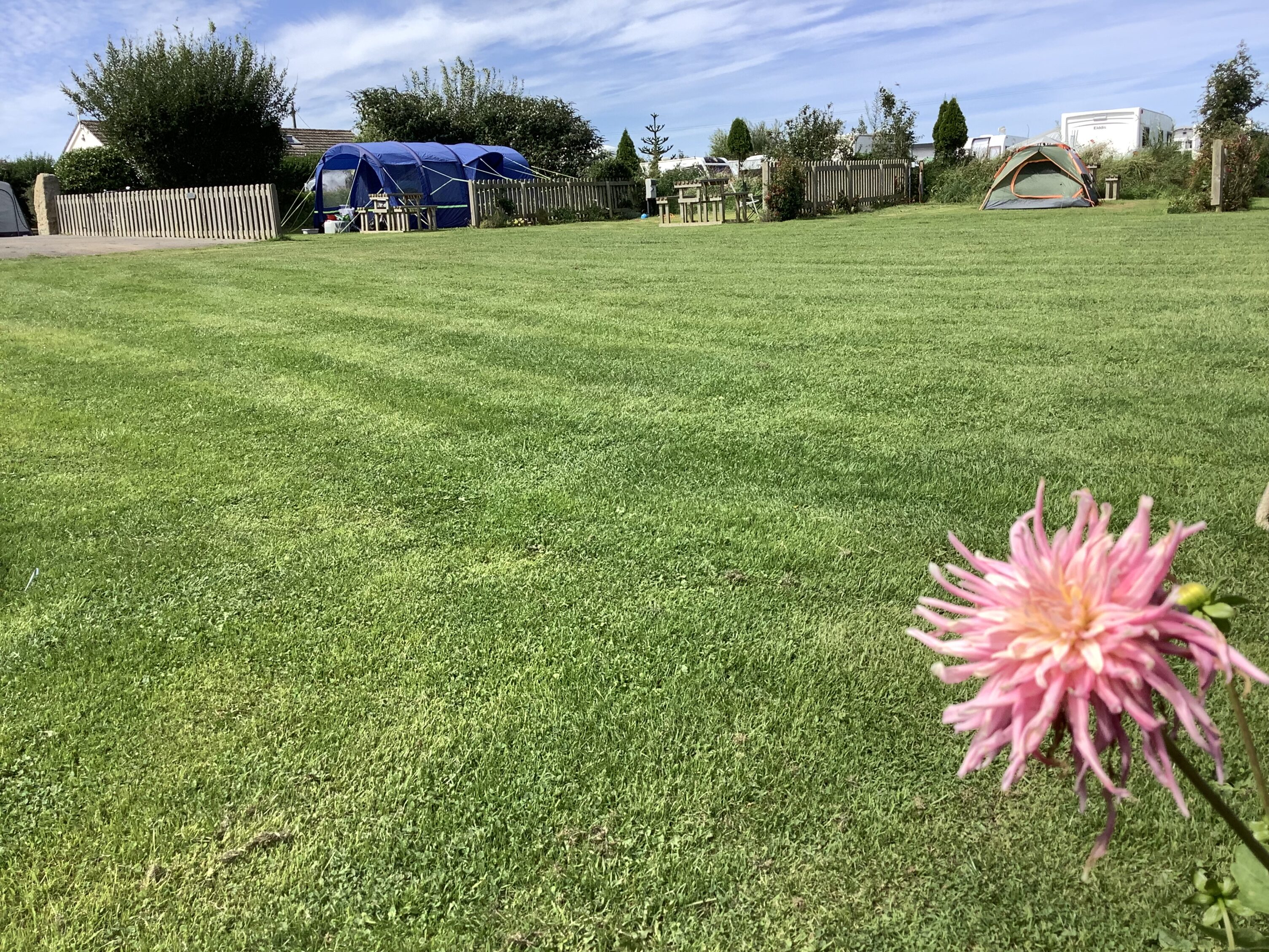 Parkland Caravan, Camping & Glamping Site